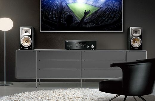 Optical TV Input